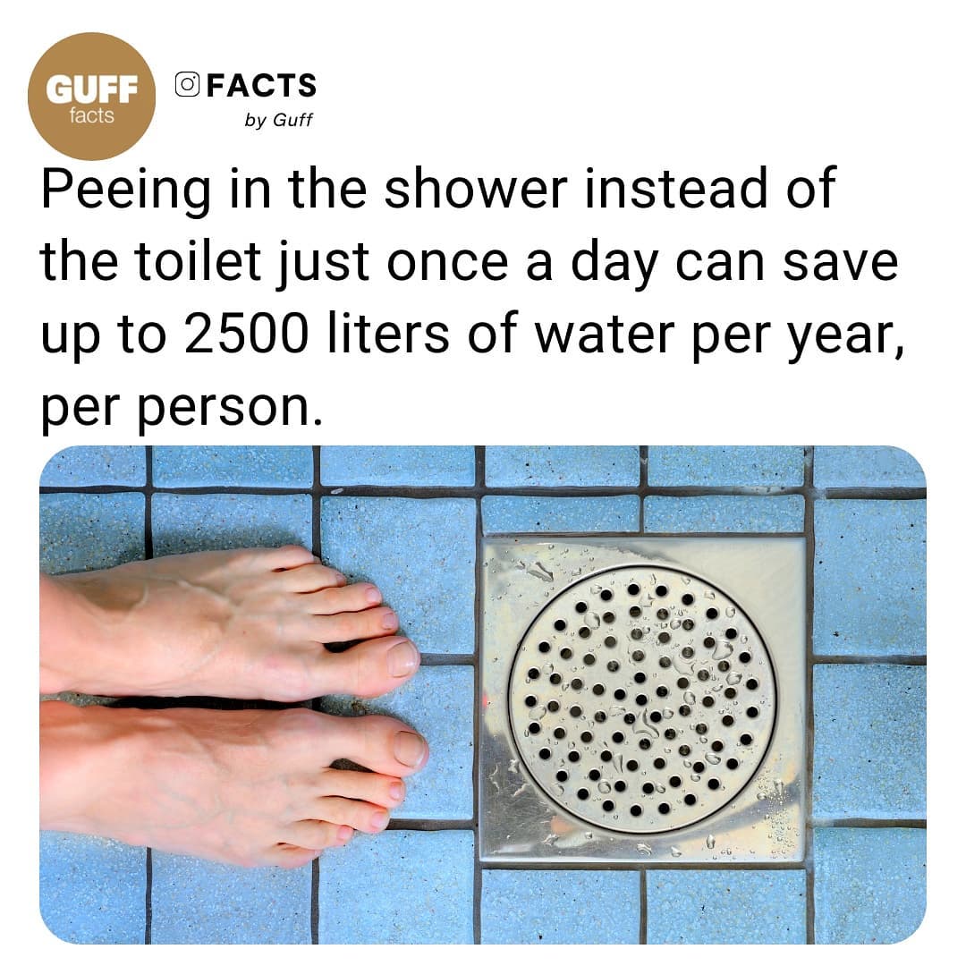 FACTS Peeing in the shower instead of the toilet just once a day can save up to 2500 liters of water per year per person 2