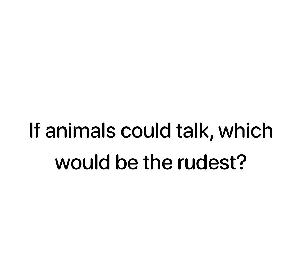 If animals could talk which would be the rudest