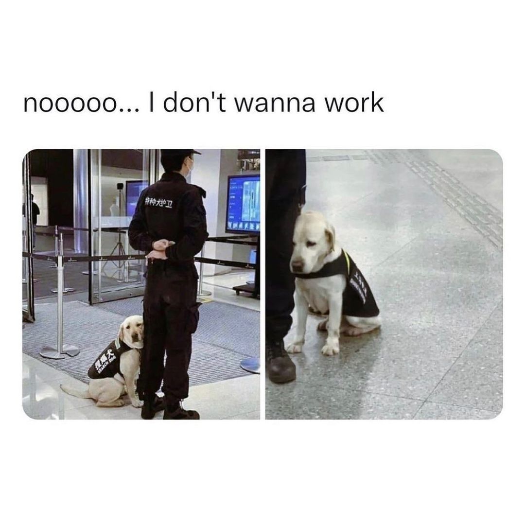 N00000 dont wanna work