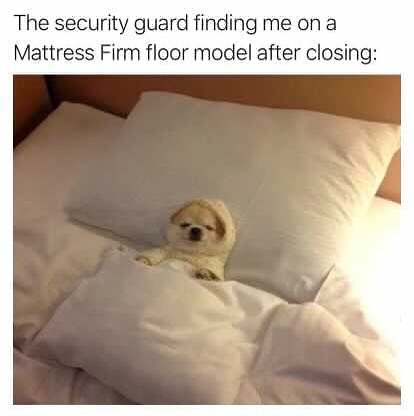 The security guard finding me on a Mattress Firm floor model after closing