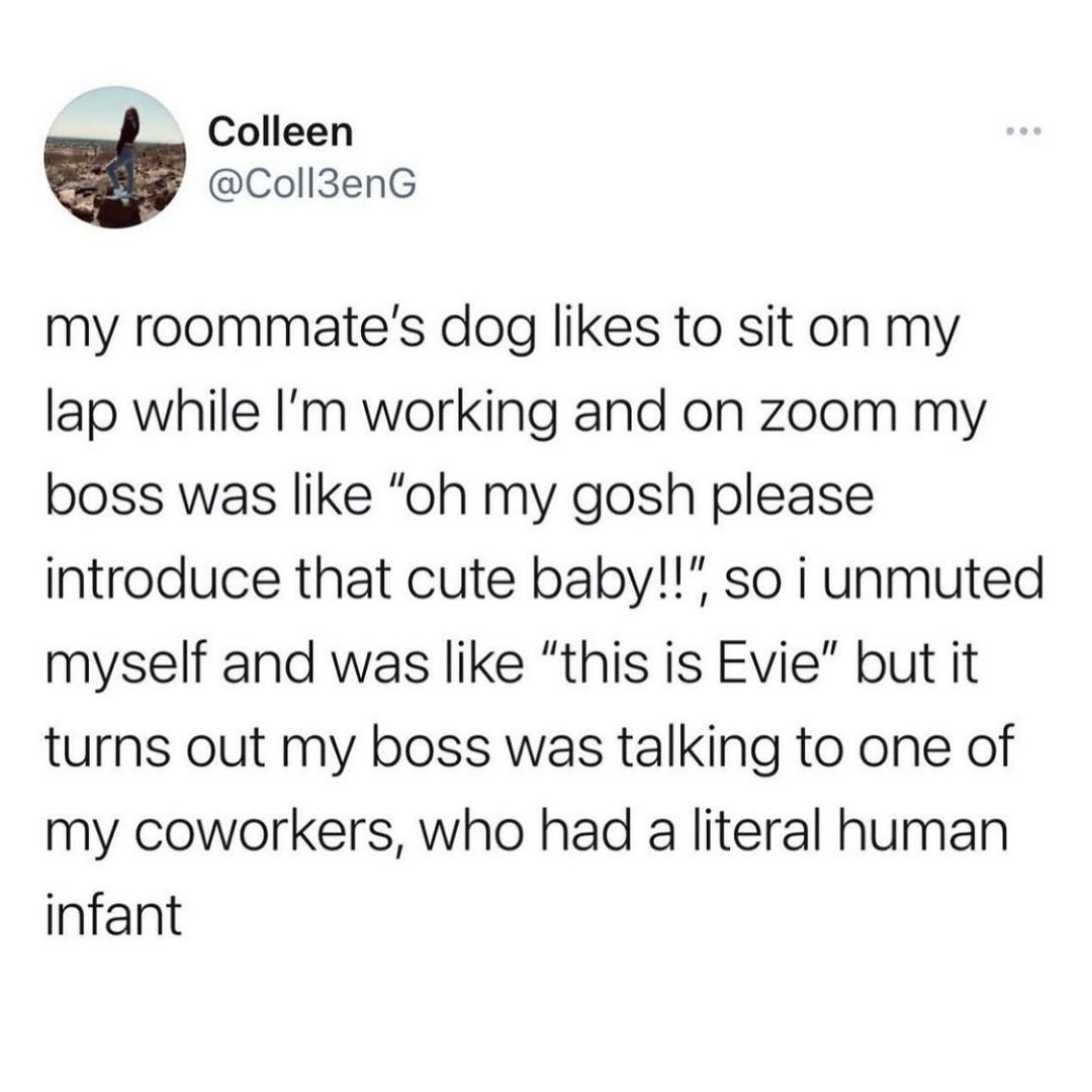 Colleen Coll3enG my roommates dog likes to sit on my lap while Im working and on zoom my boss was like oh my gosh please introduce that cute baby so i unmuted myself and was like this is Evie but it turns out my boss was talking to one of my coworkers who had a literal human infant