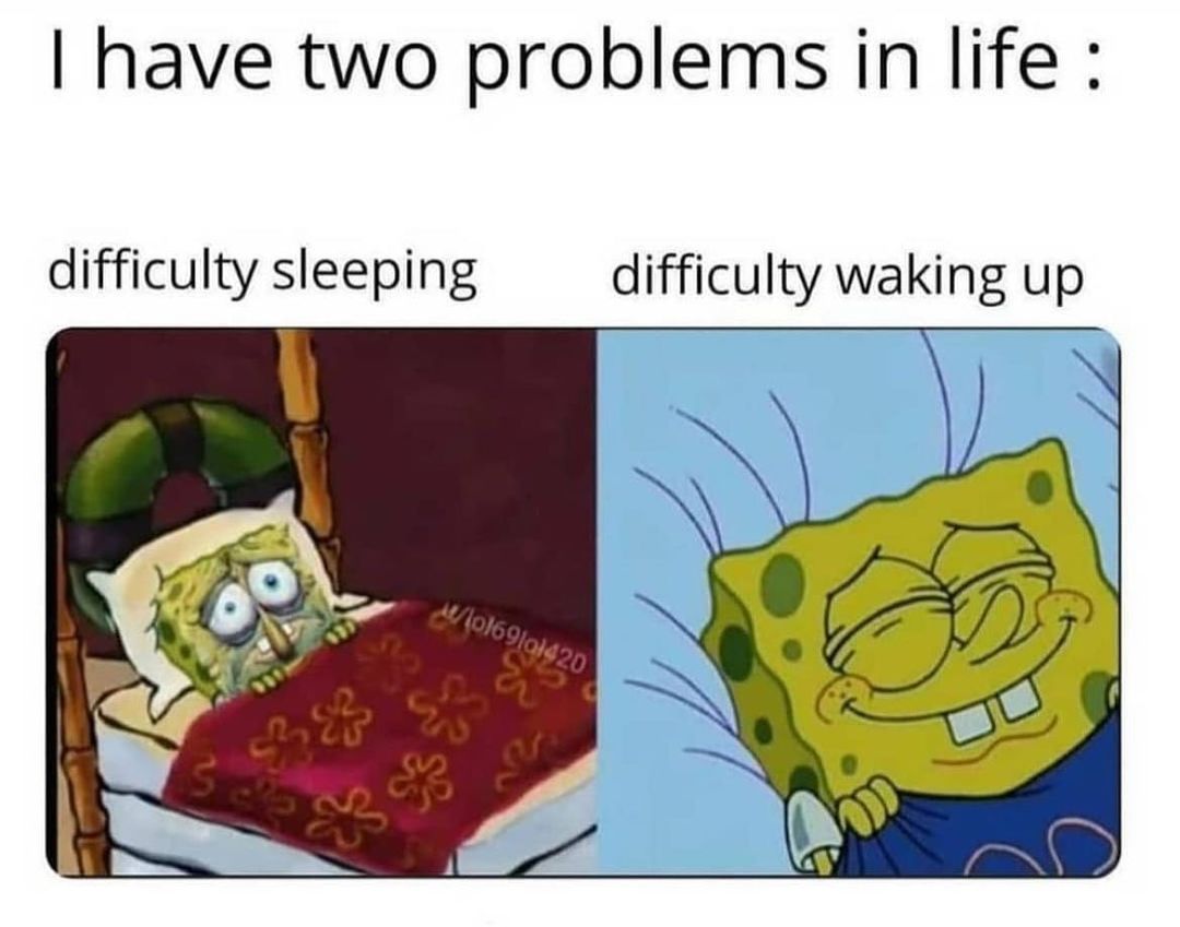 have two problems in life difficulty sleeping difficulty waking up