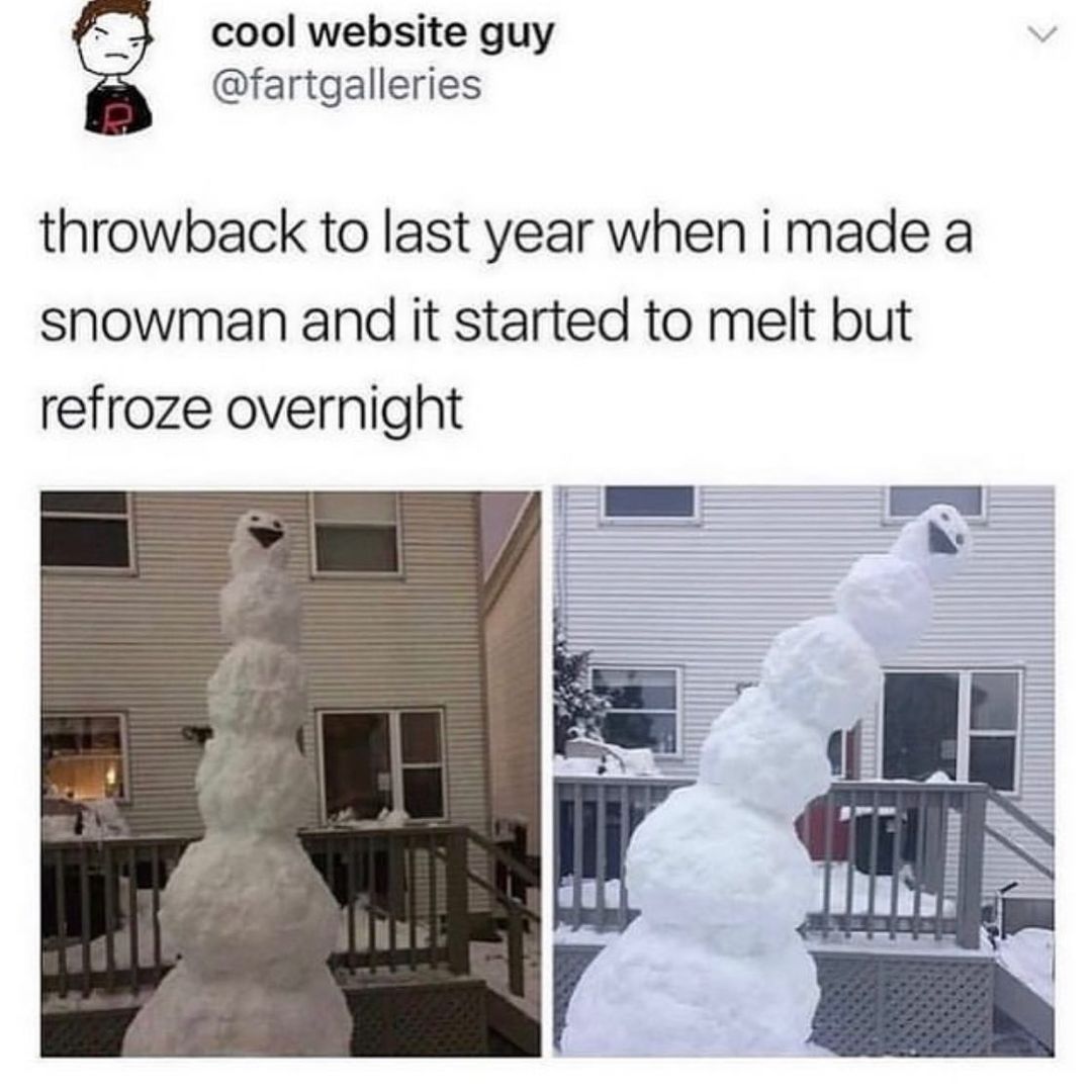 G cool website guy fartgalleries throwback to last year when i made a snowman and it started to melt but refroze overnight