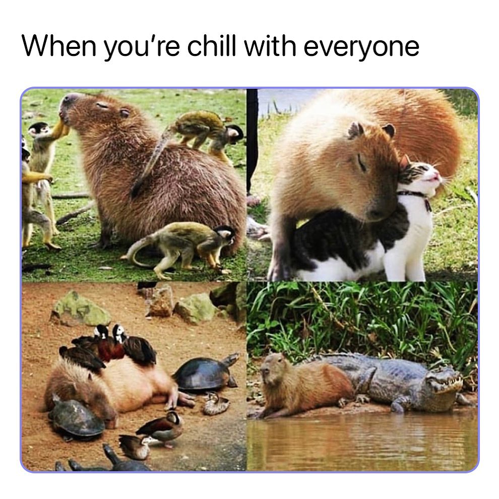 When youre chill with everyone