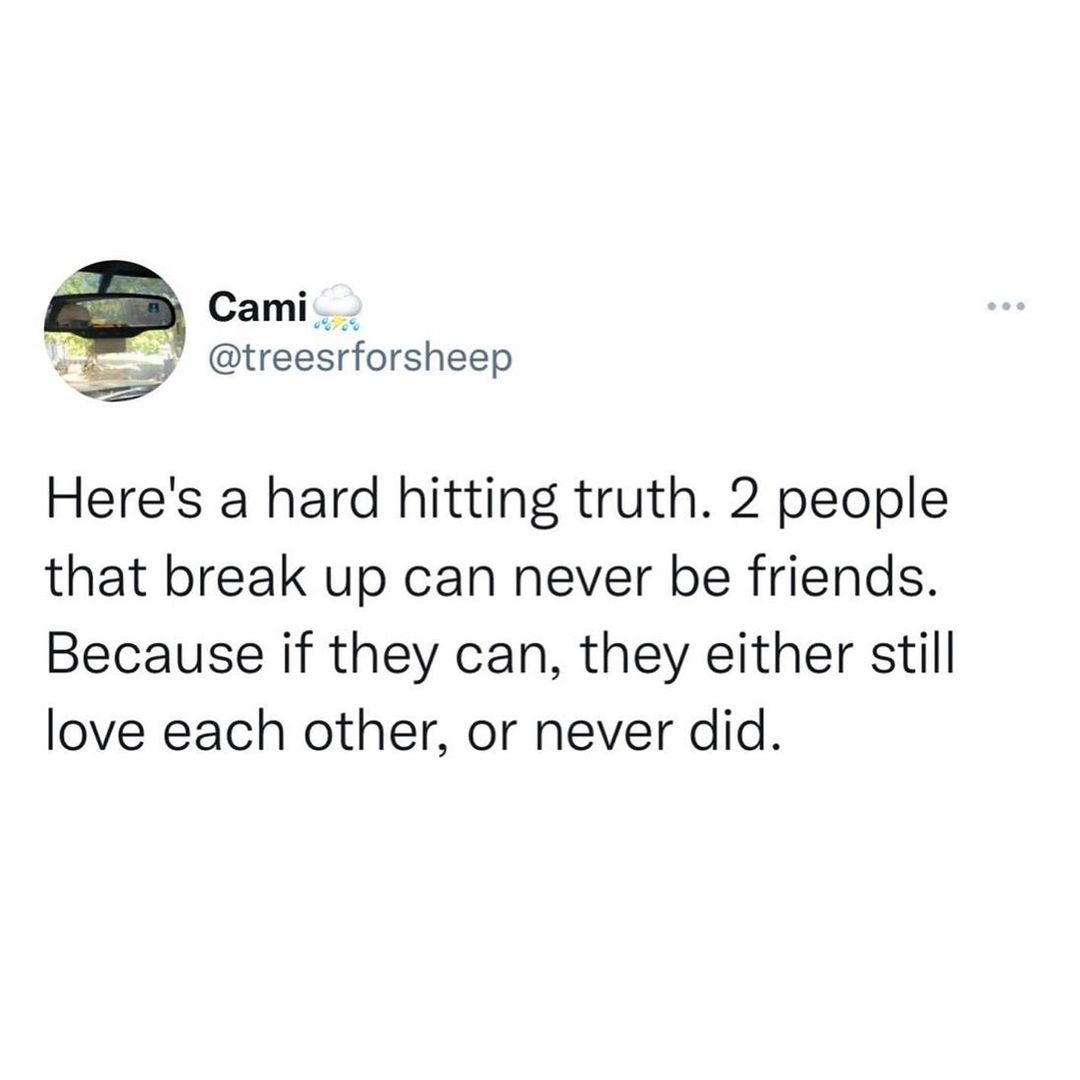 Cami vy treesrforsheep Heres a hard hitting truth 2 people that break up can never be friends Because if they can they either still love each other or never did