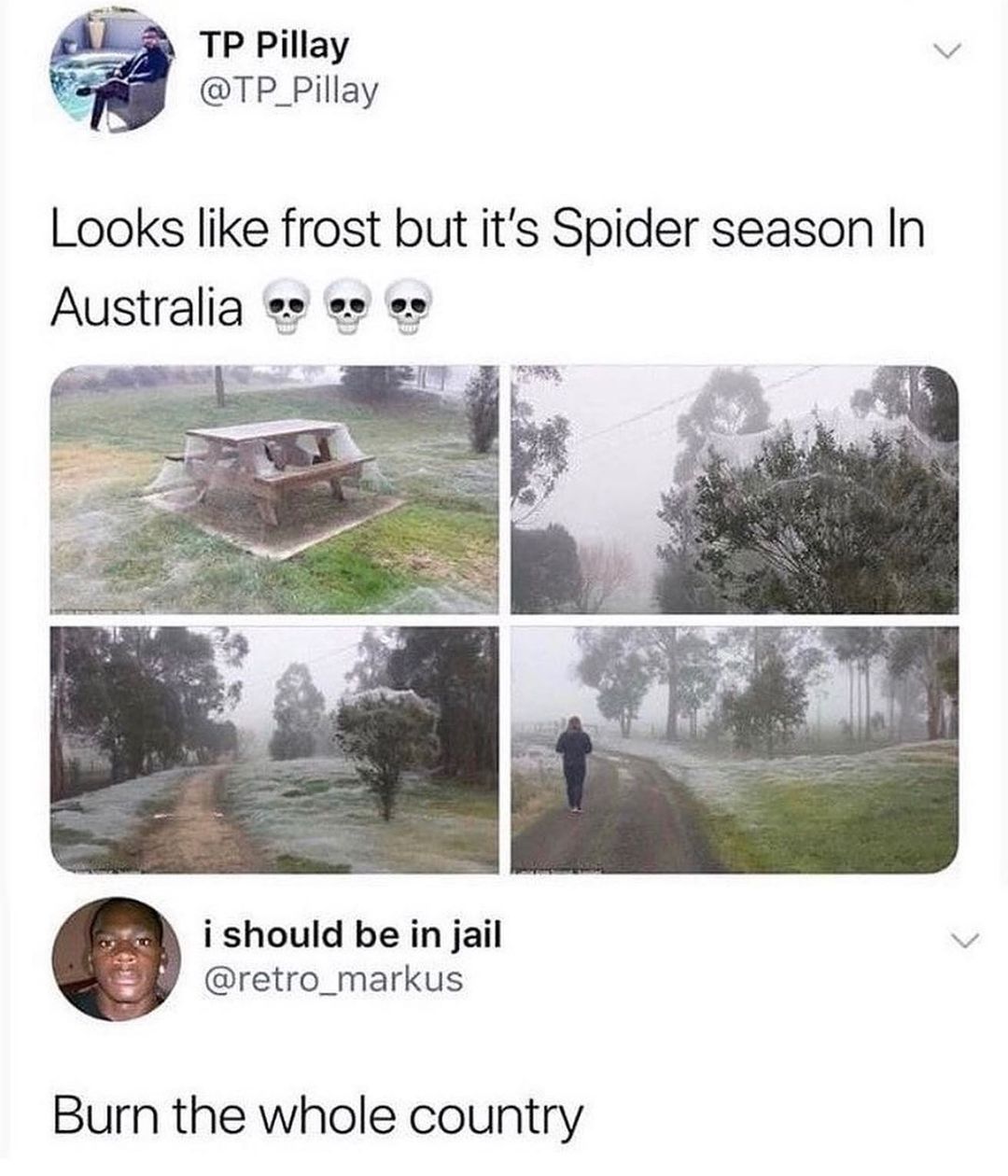 TP Pillay v TP_Pillay Looks like frost but its Spider season In Australia es e e i should be in jail v retro_markus Burn the whole country