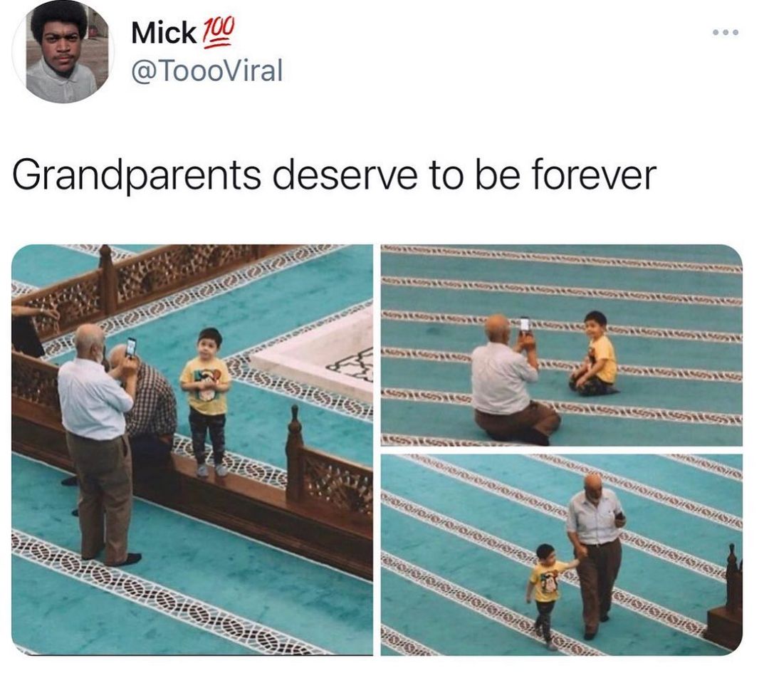 Mick 7 ToooViral Grandparents deserve to be forever