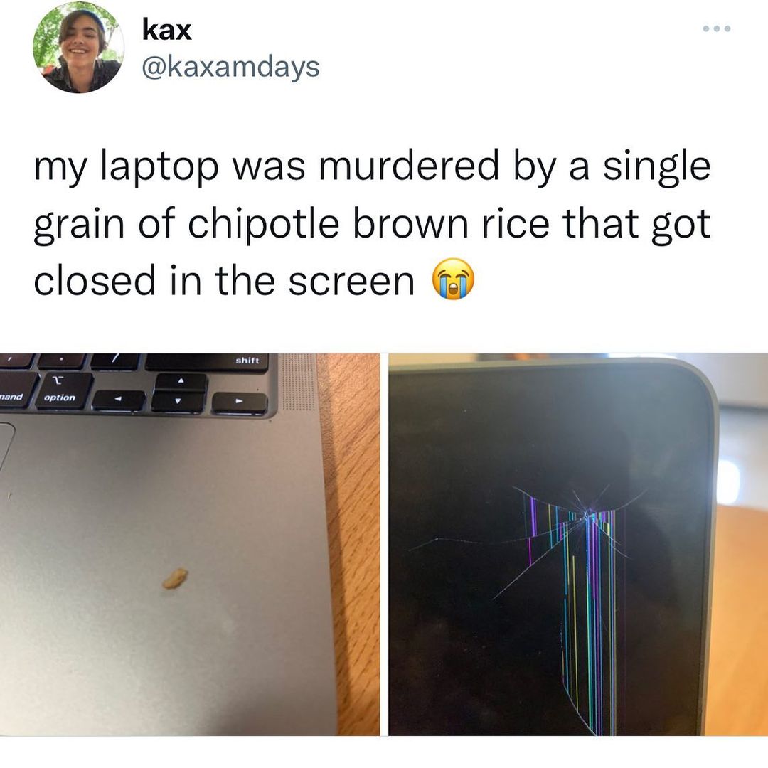 kax kaxamdays my laptop was murdered by a single grain of chipotle brown rice that got closed in the screen