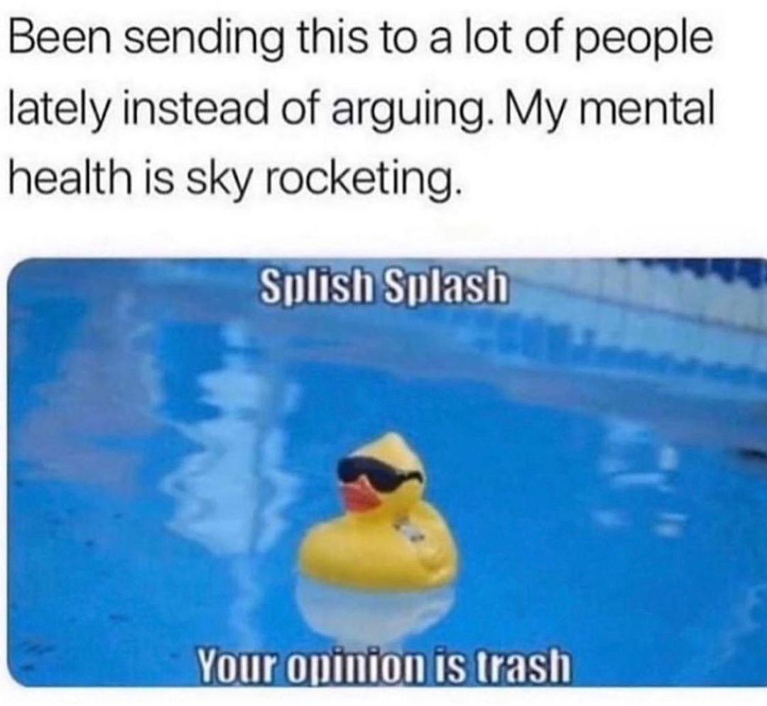 Been sending this to a lot of people lately instead of arguing My mental health is sky rocketing _w I R g T T MR