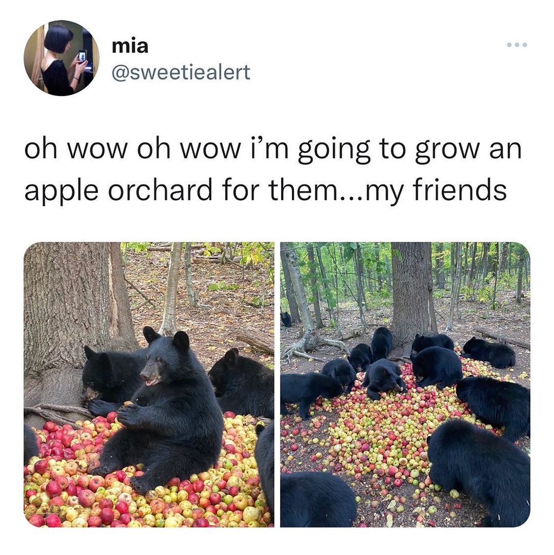 mia sweetiealert oh wow oh wow im going to grow an apple orchard for themmy friends