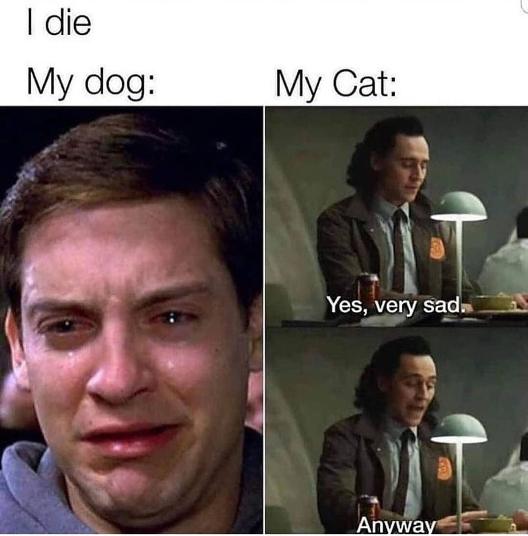 W Yes very sadw