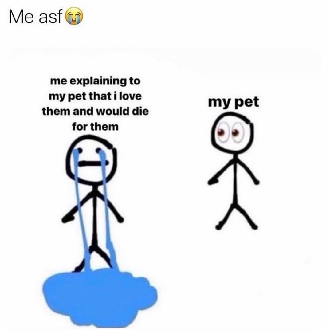 Me asf me explaining to my pet thatilove them and would die for them my pet