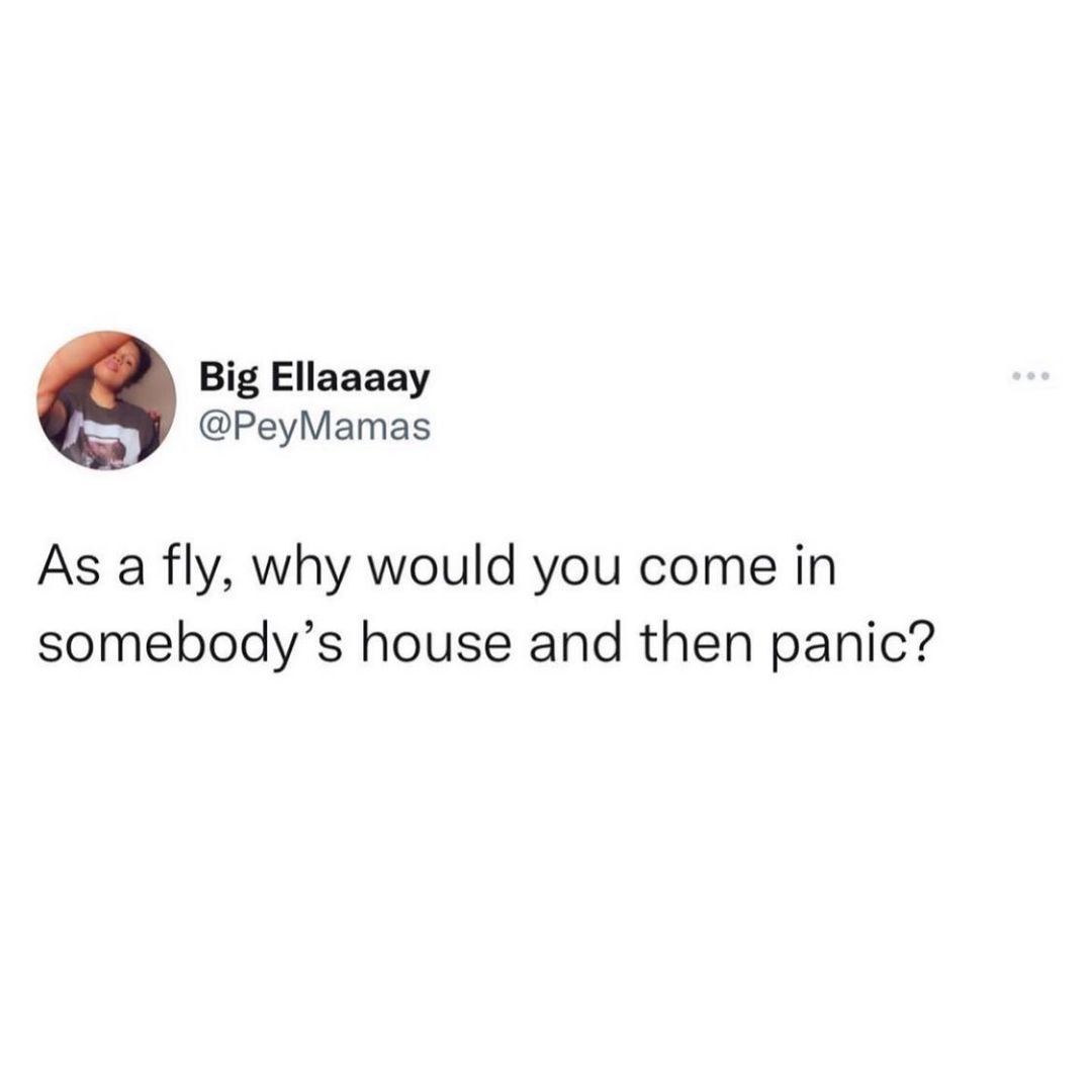 Big Ellaaaay PeyMamas As a fly why would you come in somebodys house and then panic