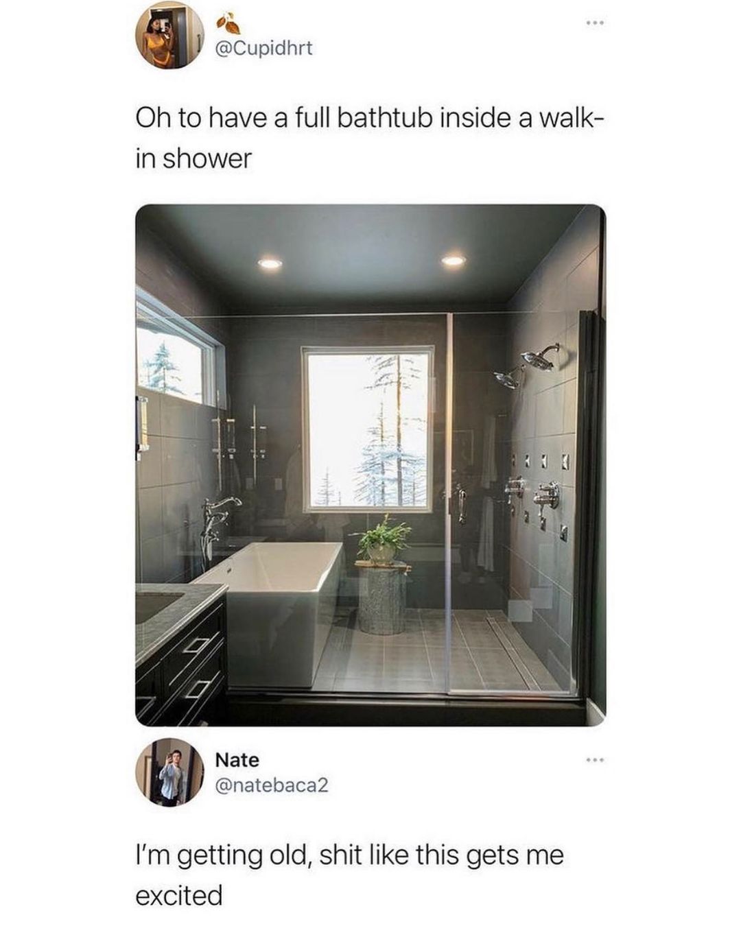 a Cupidhrt Oh to have a full bathtub inside a walk in shower f Nate natebaca2 Im getting old shit like this gets me excited