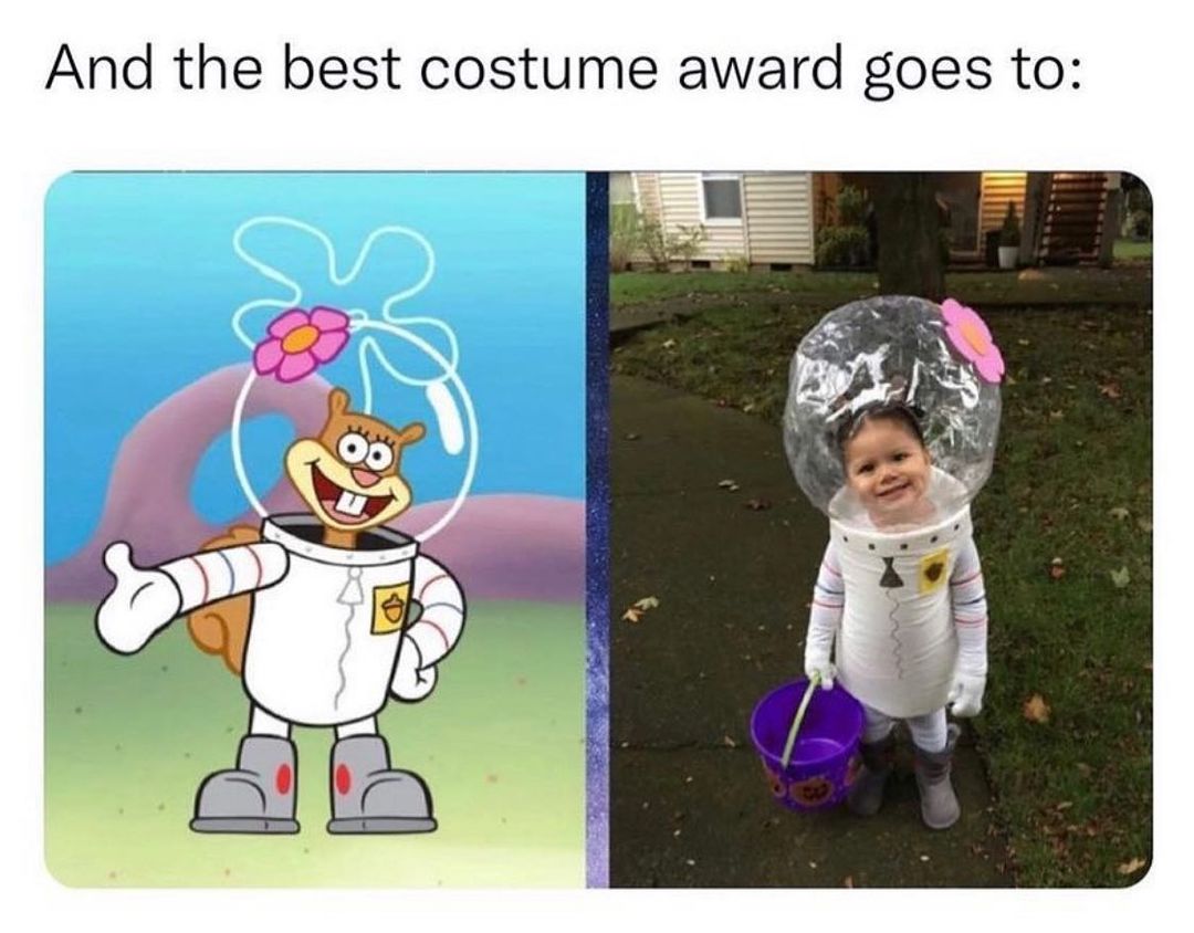 And the best costume award goes to