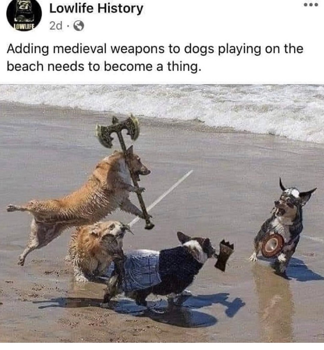 Lowlife History 2d Q Adding medieval weapons to dogs playing on the beach needs to become a thing 5