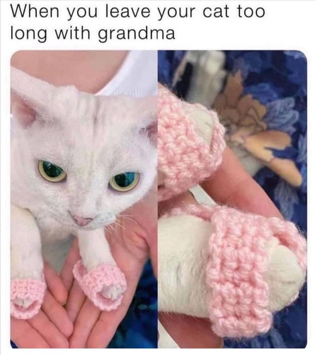 When you leave your cat too long with grandma