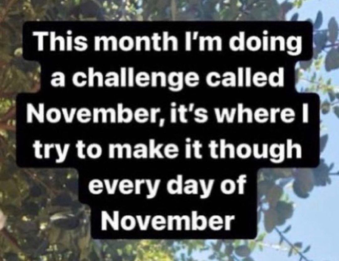 o N AL ST Thls month Im domg L2 achallenge called November its where B ACTUEUCH QLT every day of Raaic 2 d N_ovember