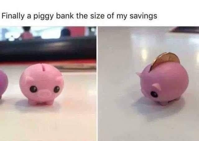 Finally a piggy bank the size of my savings