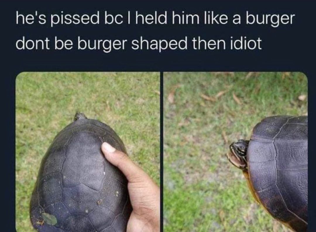 IR oISYTo oo ol o Nallaa RIGR N oVe1g dont be burger shaped then idiot