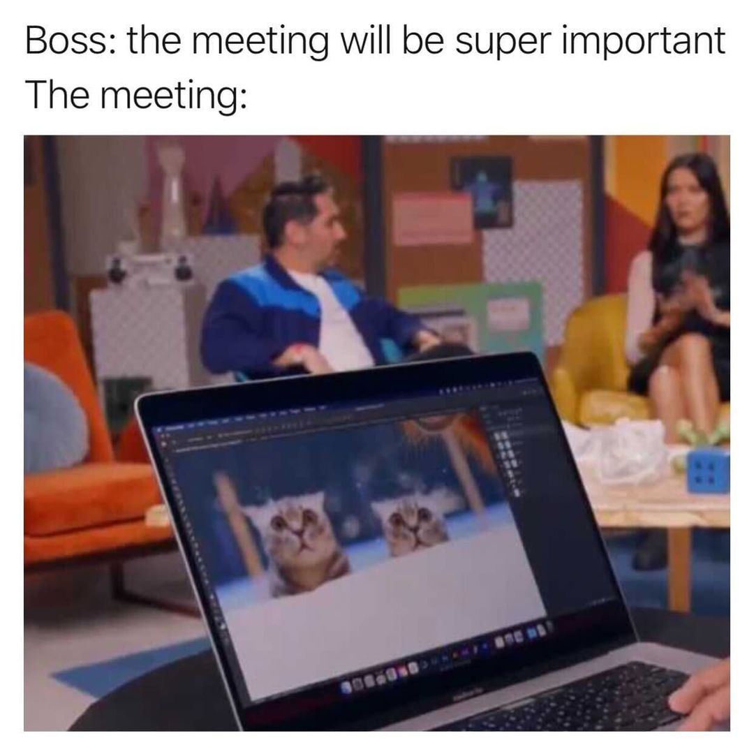 Boss the meeting will be super important The meeting