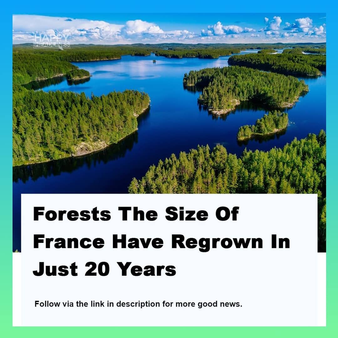 Forests The Size Of France Have Regrown In Just 20 Years Follow via the link in description for more good news