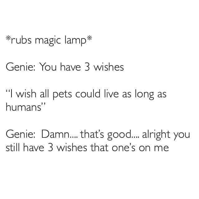 rubs magic lamp Genie You have 3 wishes wish all pets could live as long as humans Genie Damn thats good alright you still have 3 wishes that ones on me