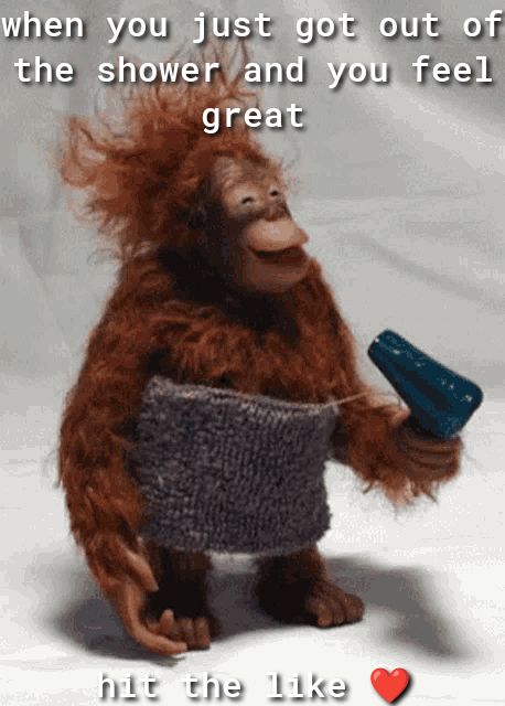 when yousju gOlts OUTHOT the Juquufuu you e great