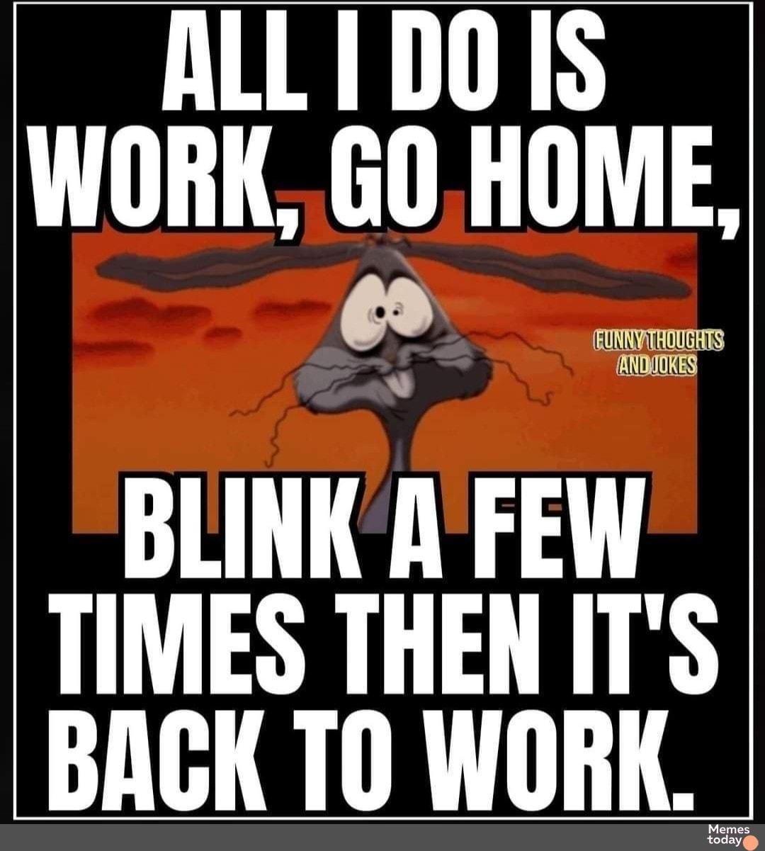 ALL1DO IS WORK GO HOME FUNRVATHOUGHTS KRDAORES BLINK AFEW TIMES THEN ITS BACK TO WORK