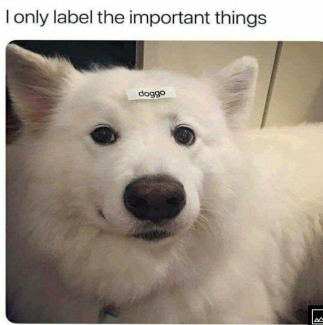 only label the important things Wy