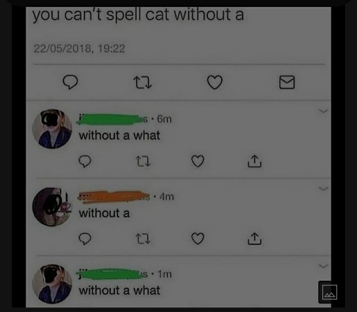 you cant spell cat without a A 6m without a what 2 O R o im without a Q W2 T 1M without a what