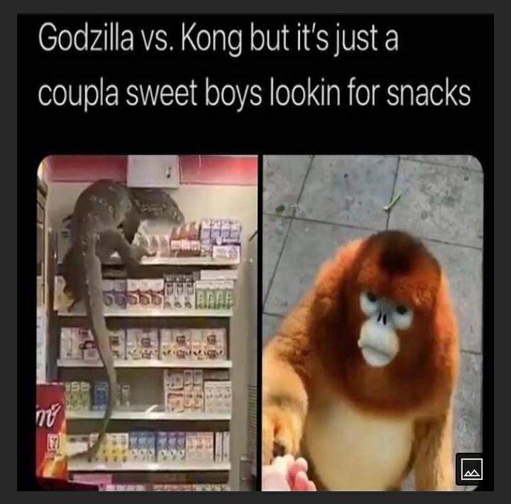 Godzilla vs Kong but its just a coupla sweet boys lookin for snacks
