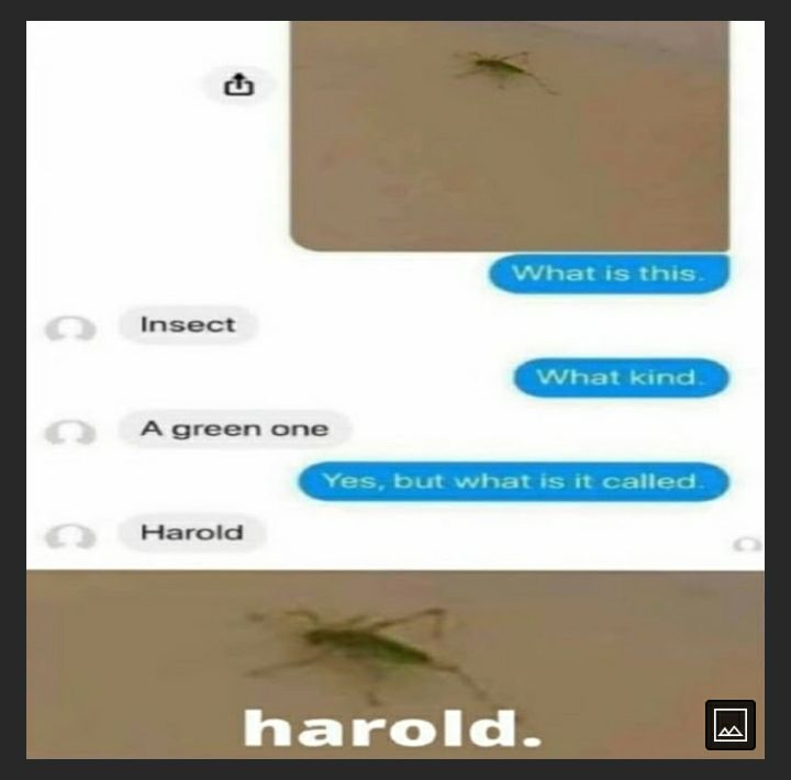 A green one Harold harold o