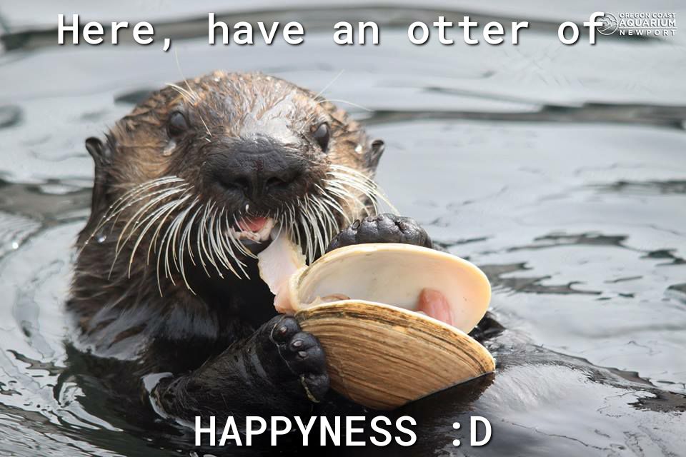S HAPPYNESS