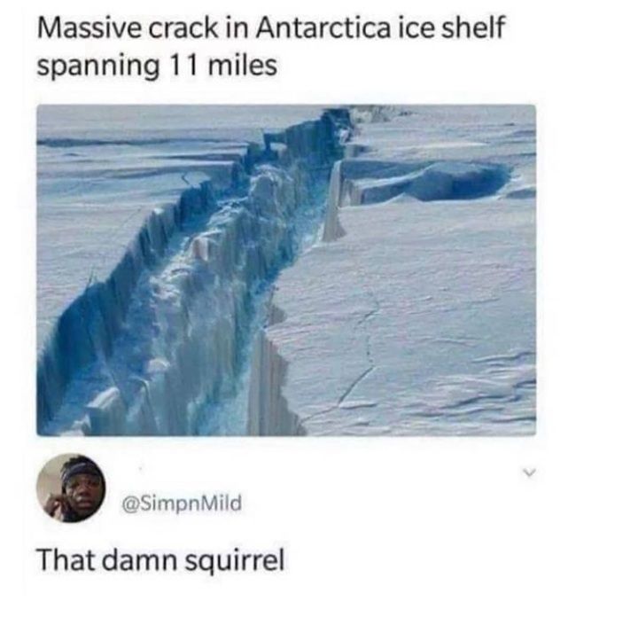 Massive crack in Antarctica ice shelf spanning 11 miles SimpnMild That damn squirrel