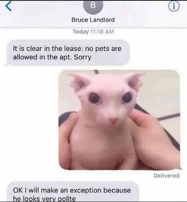 B Bruce Landlord Today 1118 AM It is clear in the lease no pets are allowed in the apt Sorry e Delivered OK will make an exception because he looks verv polite