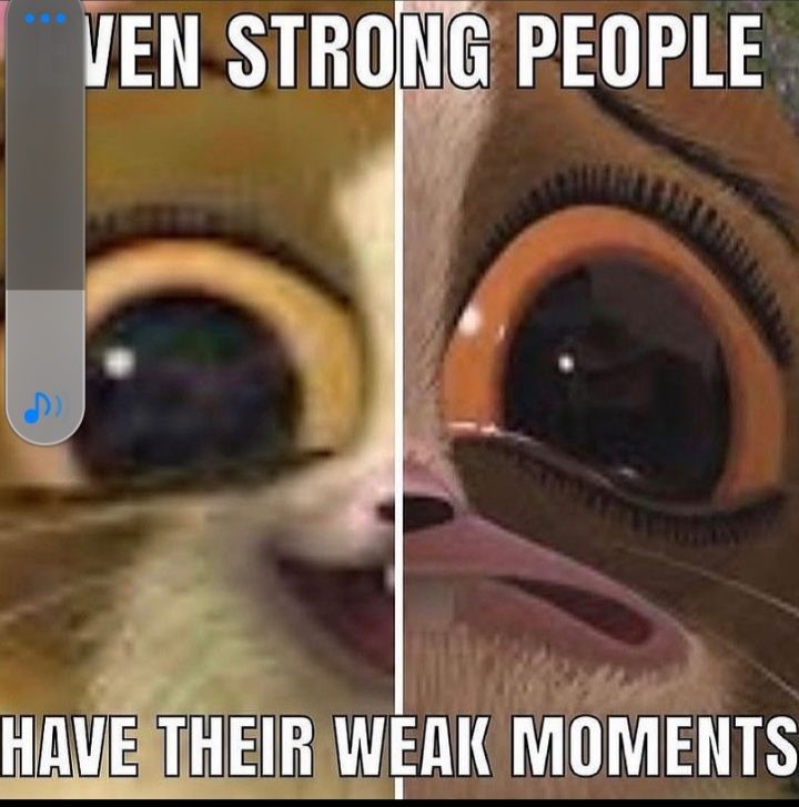 HAVERTHEIR WEAK MOMENTS