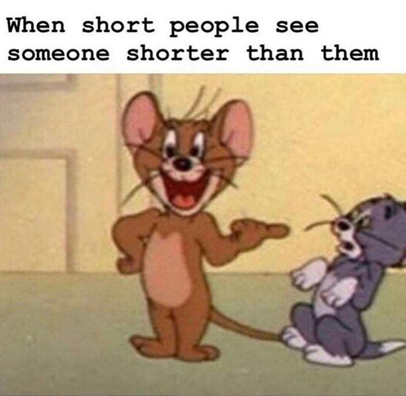 When short people see someone shorter than them