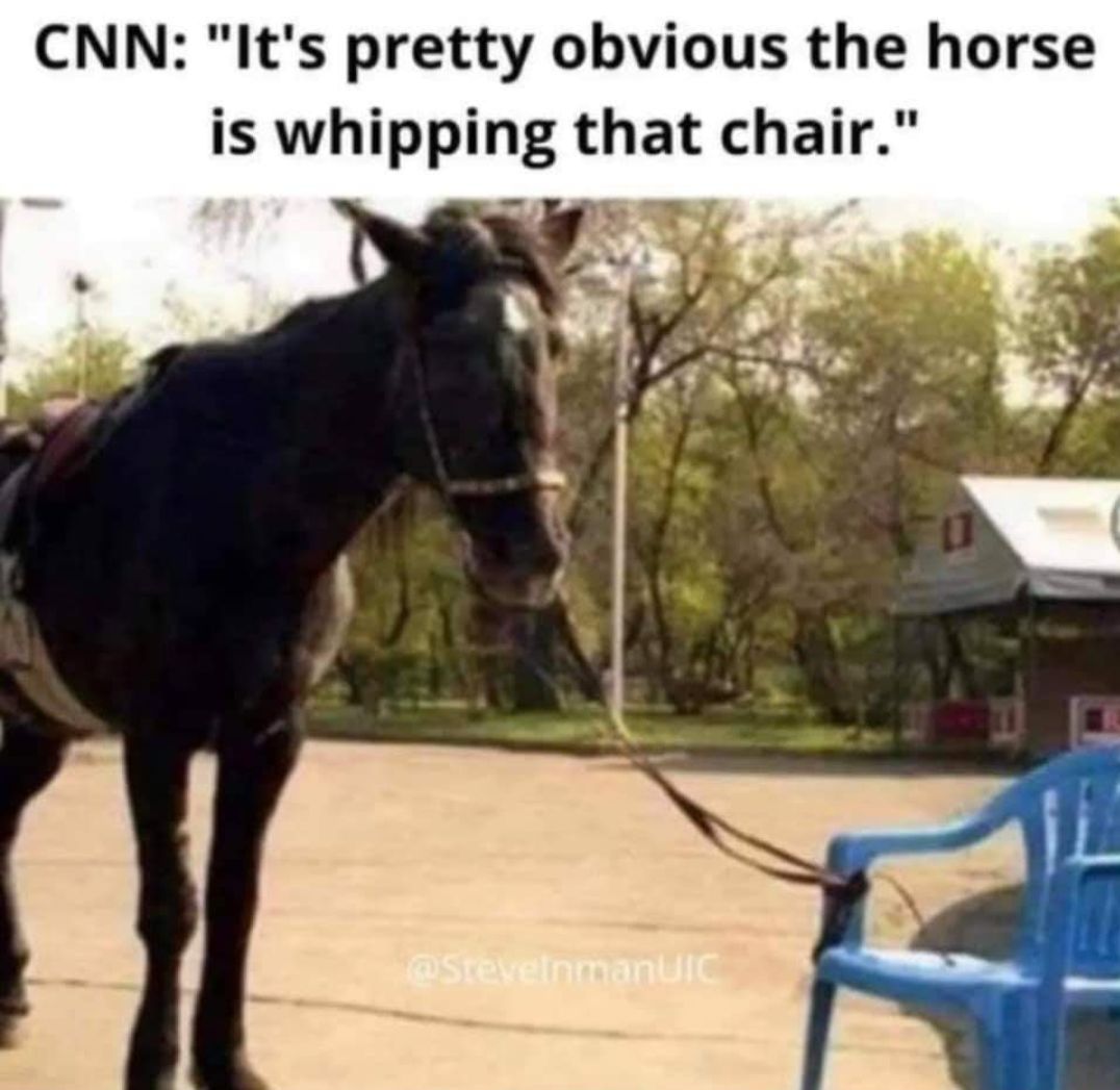 CNN Its pretty obvious the horse is whipping that chair S e