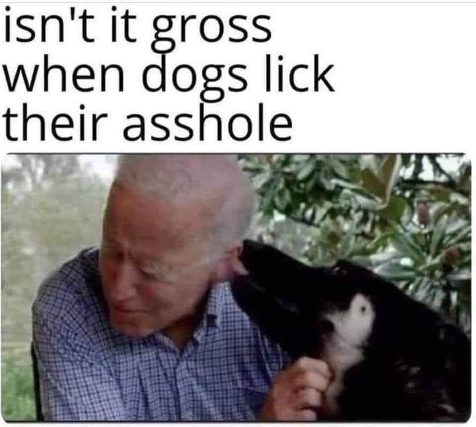 iIsnt it gross when dogs lick their asshol