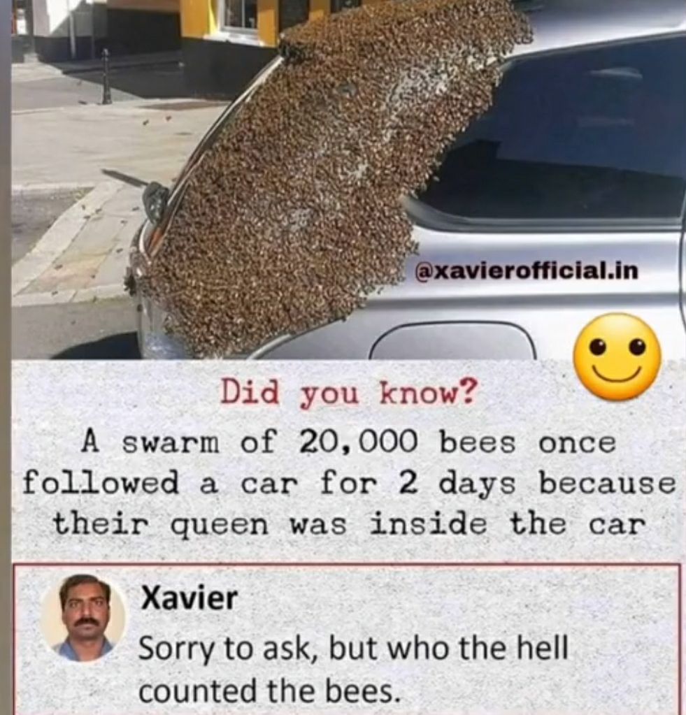 e Did you know e N A swarm of 20000 bees once followed a car for 2 days because their queen was inside the car Xavier g Sorry to ask but who the hell counted the bees