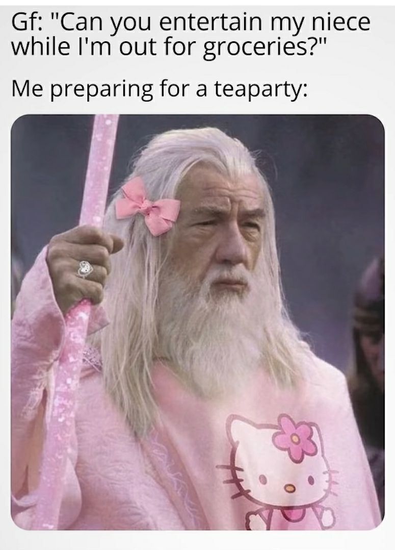 Gf Can you entertain my niece while Im out for groceries Me preparing for a teaparty