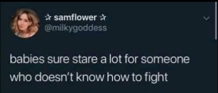 2 samflower milkygoddess babies sure stare a lot for someone who doesnt know how to fight