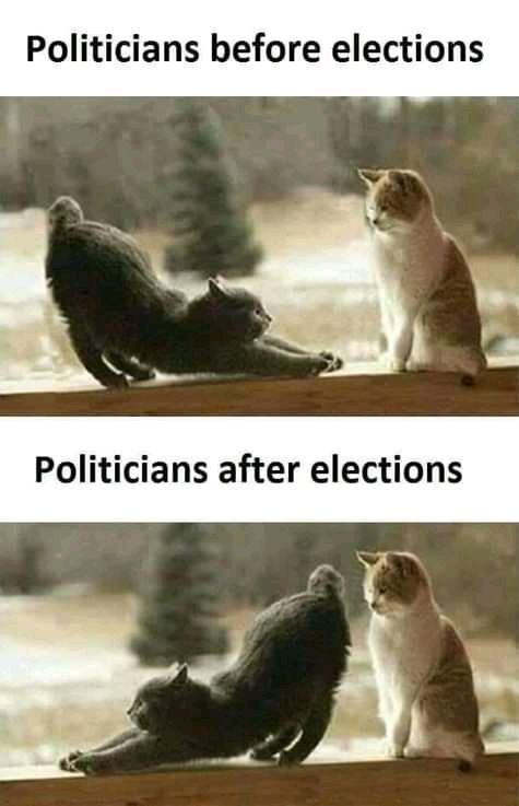 Politicians before elections l Politicians after elections 1 l