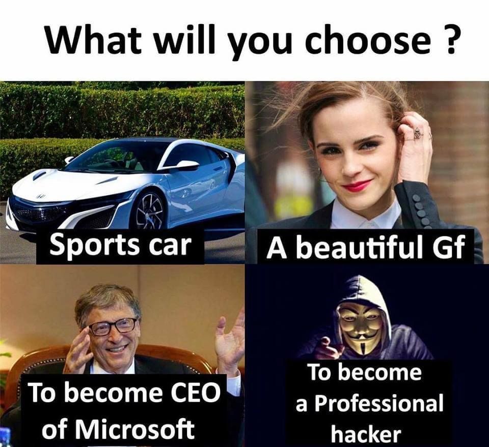 What will you choose Sports car A beautiful Gf A ez VF A N To become To become CEO a Professional of Microsoft hacker