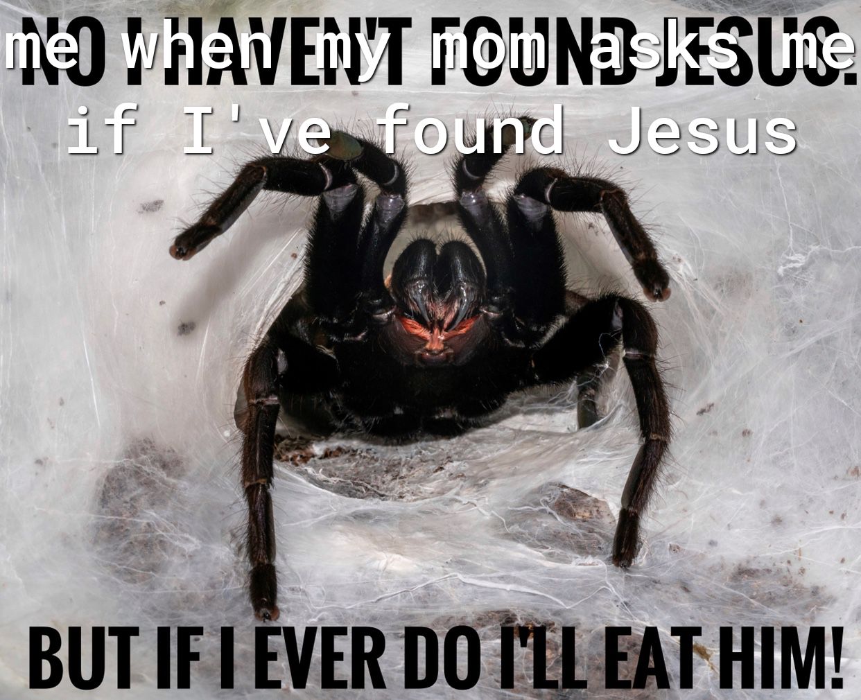 160 VHAVET FCUNS JESUE J ndtJesus 2 IRIEEEVE eI Na BUT IF I EVER DO Tt EAT HIM