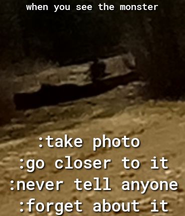 LUL G IR ITRET T RE o TR T B T take photo e o o HelT iy oo J fy never tell anyone o il o oo N 1 ofo U f s g