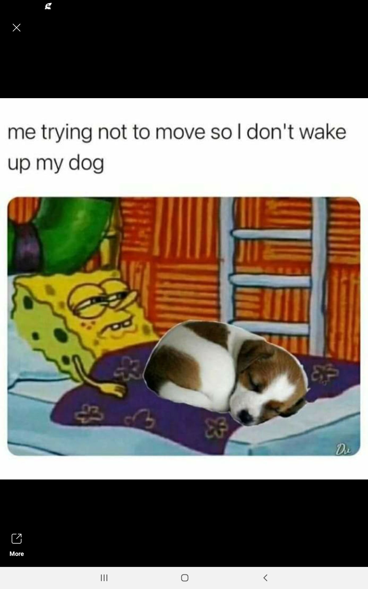 me trying not to move so dont wake up my dog