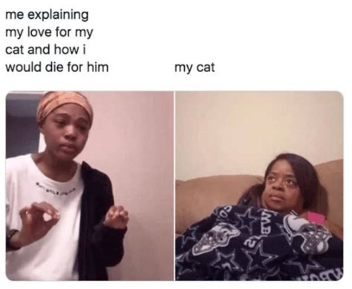 me explaining my love for my cat and how i would die for him my cat