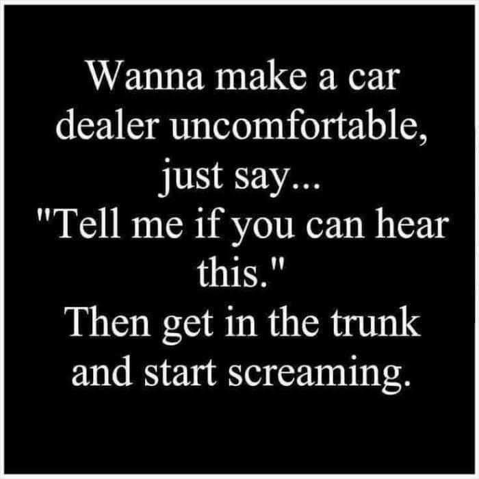 WETNER RGNy dealer uncomfortable just say Tell me if you can hear this Then get in the trunk and start screaming